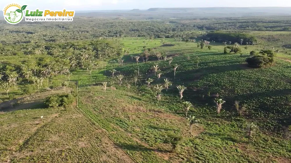 Terreno, 1702 hectares - Foto 4