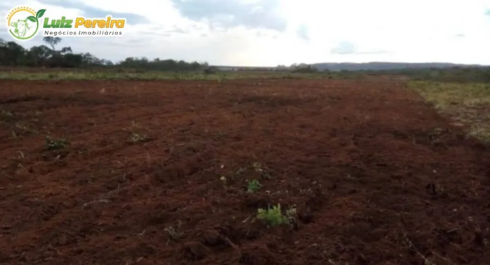 Terreno, 2950 hectares - Foto 8