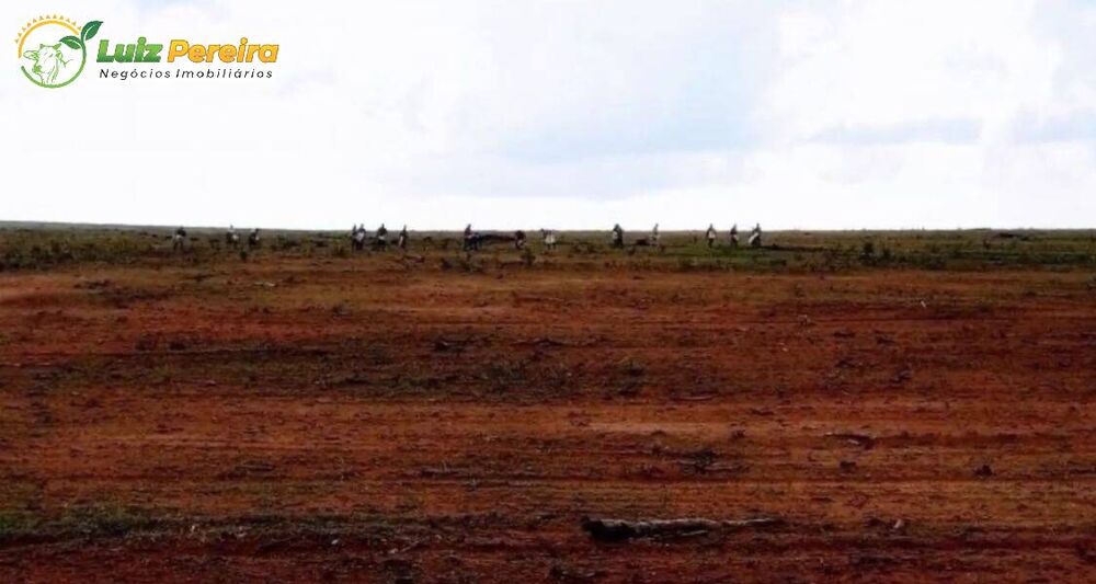 Terreno, 2950 hectares - Foto 3