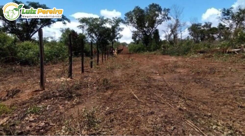 Terreno, 2950 hectares - Foto 2