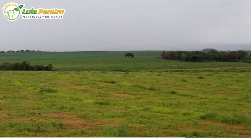 Terreno, 2950 hectares - Foto 1