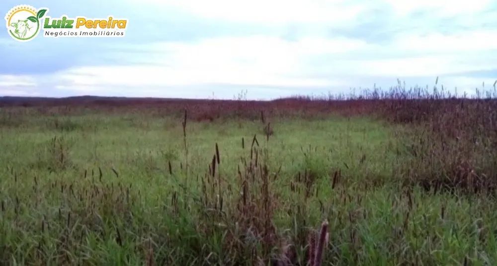 Terreno, 2950 hectares - Foto 3