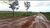 Terreno, 2950 hectares - Foto 4