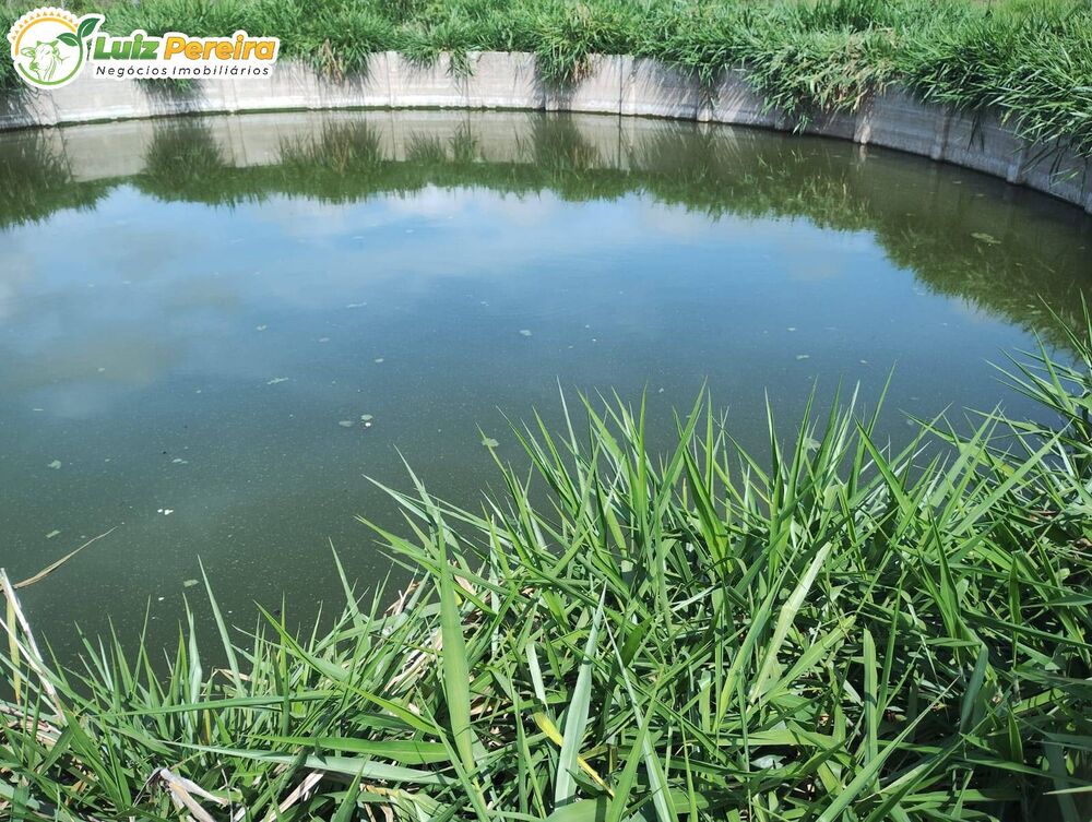 Terreno, 880 m² - Foto 3