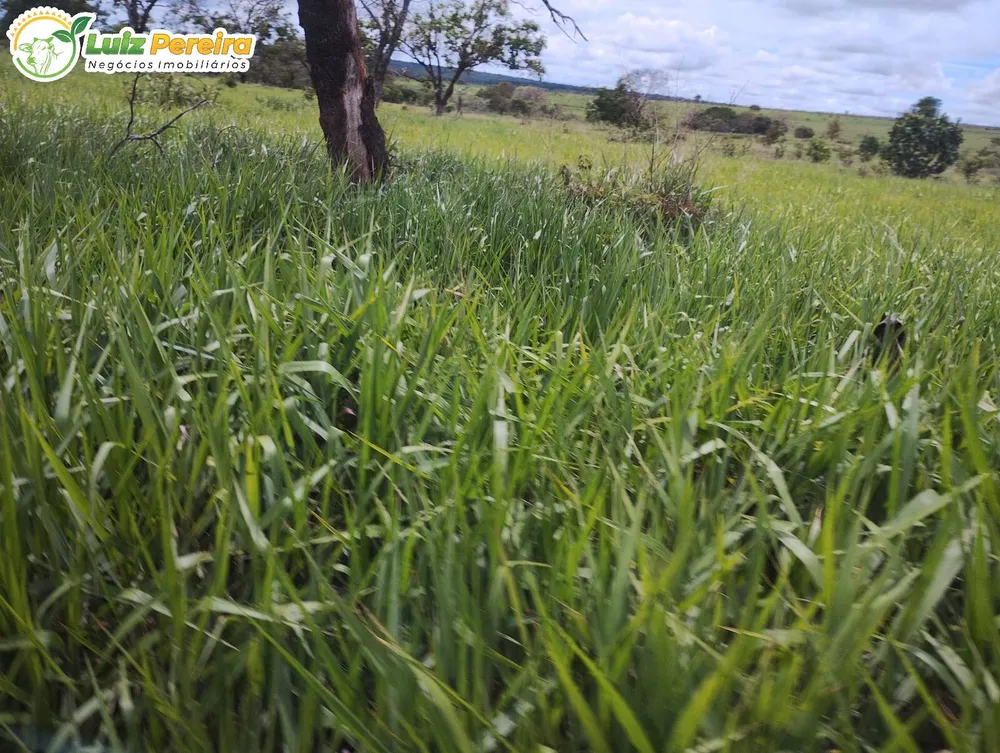 Terreno, 880 m² - Foto 5