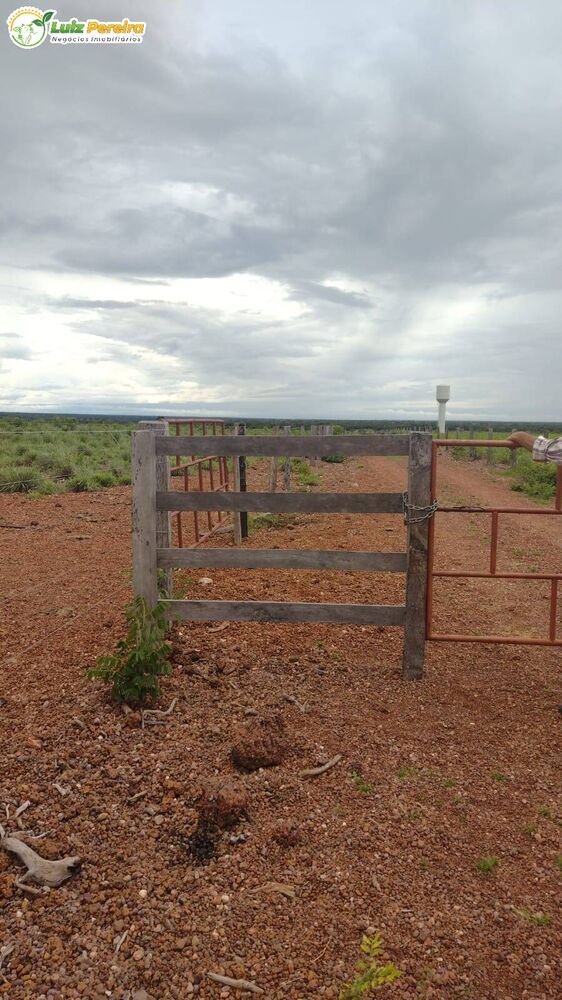 Terreno, 242 hectares - Foto 3