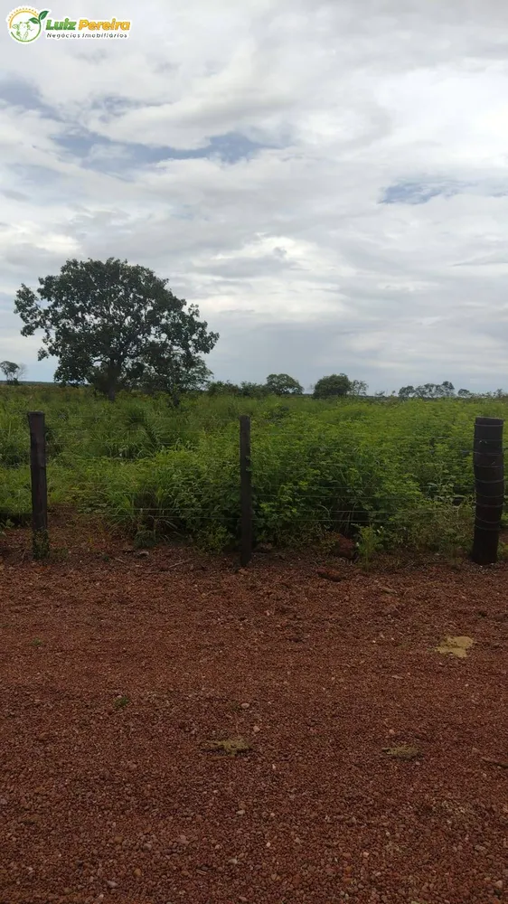 Terreno, 242 hectares - Foto 11