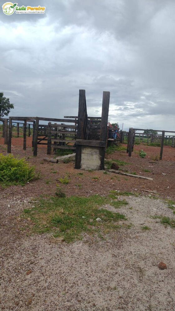 Terreno, 242 hectares - Foto 2