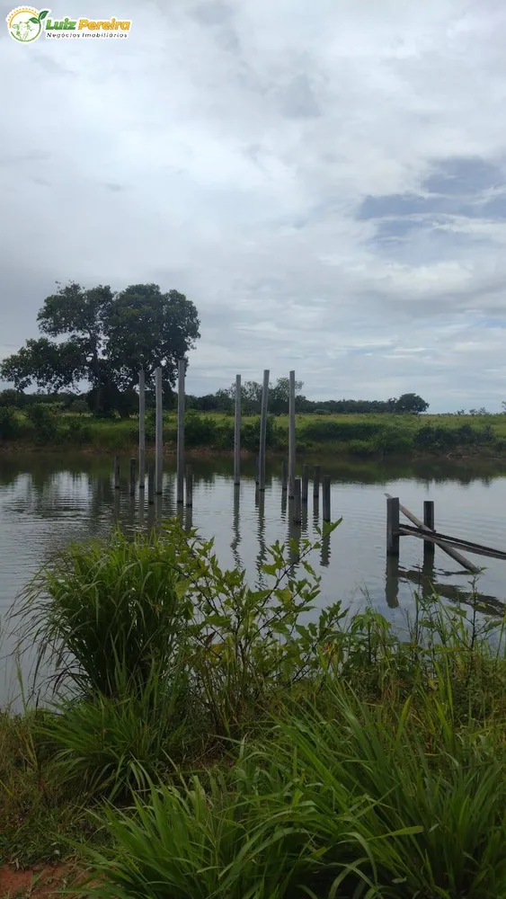 Terreno, 242 hectares - Foto 8