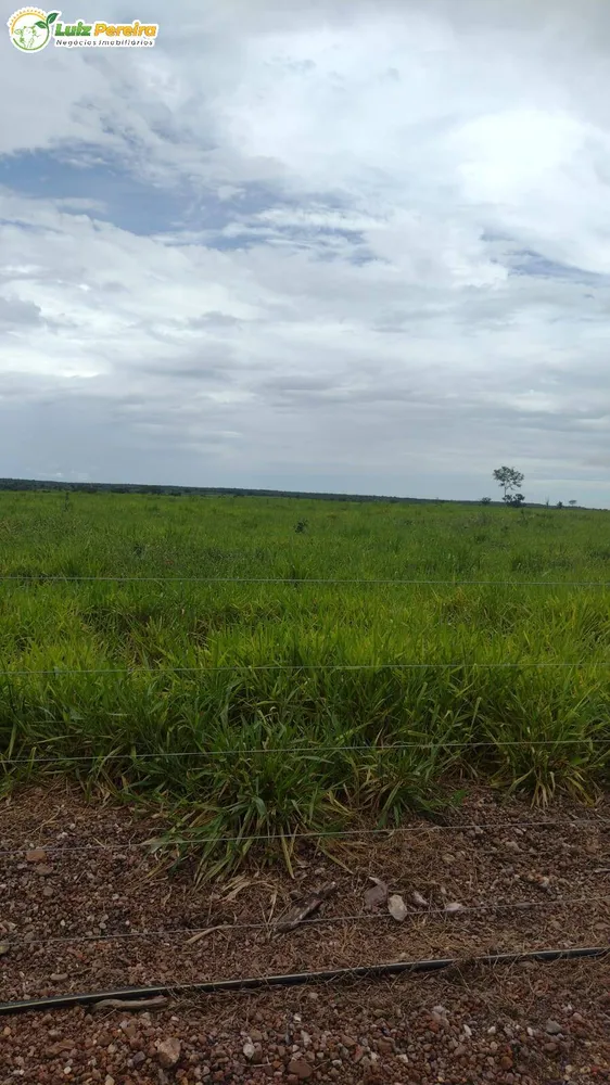 Terreno, 242 hectares - Foto 4