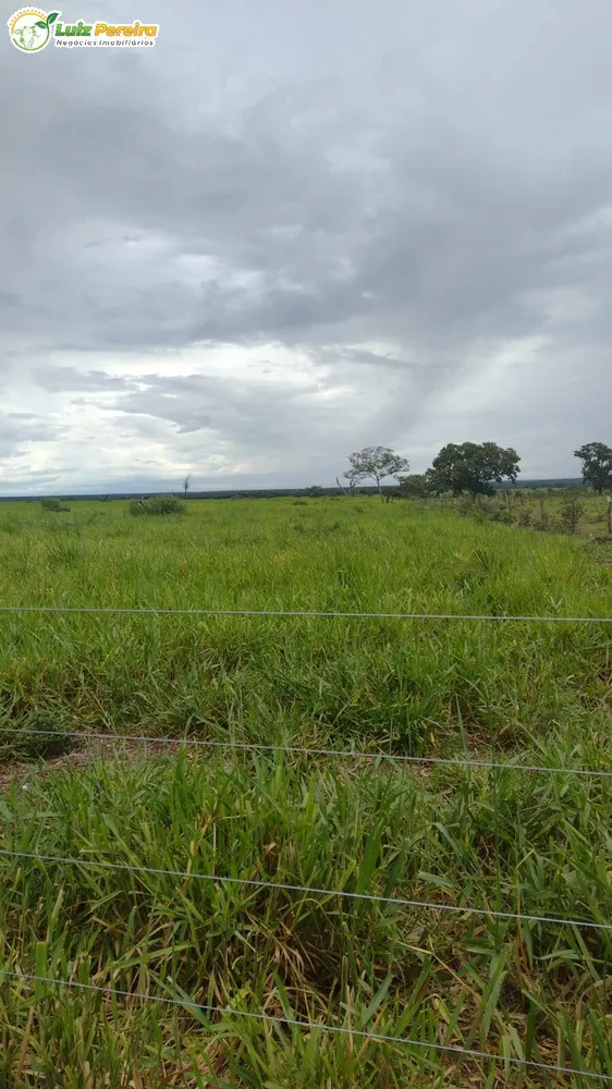 Terreno, 242 hectares - Foto 3