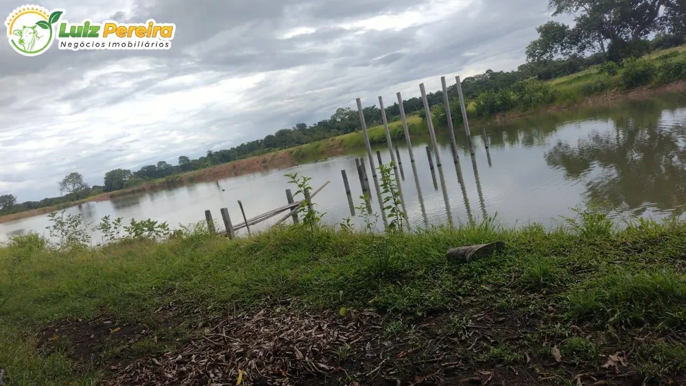 Terreno, 242 hectares - Foto 6
