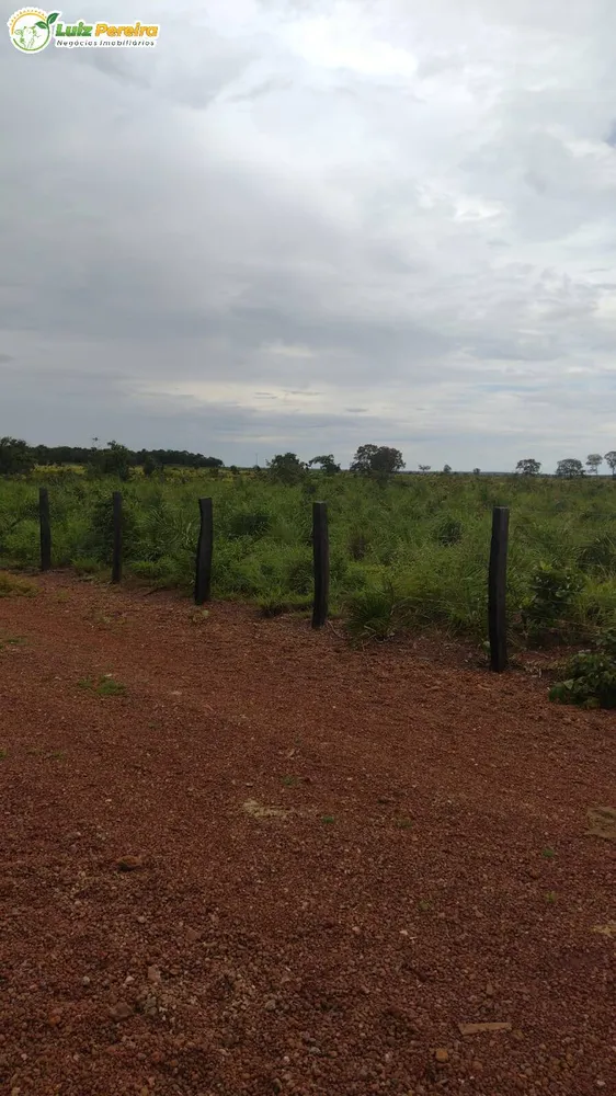 Terreno, 242 hectares - Foto 10