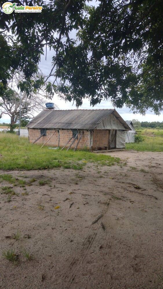 Terreno, 242 hectares - Foto 4