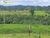 Terreno, 2996 hectares - Foto 2