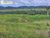 Terreno, 2996 hectares - Foto 1
