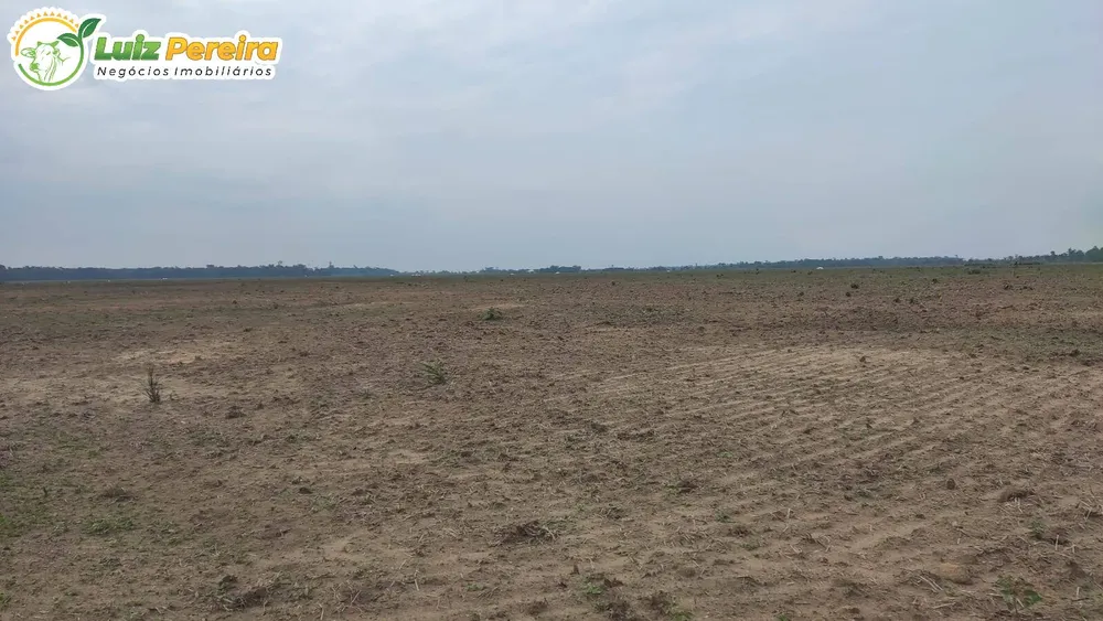 Terreno, 1016 hectares - Foto 12