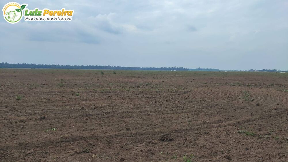 Terreno, 1016 hectares - Foto 4