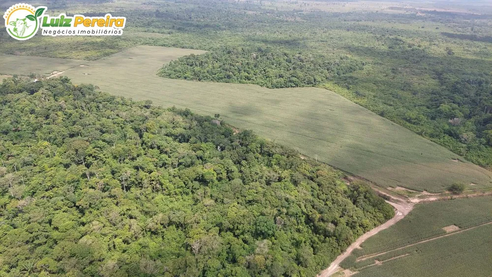Terreno, 1016 hectares - Foto 2