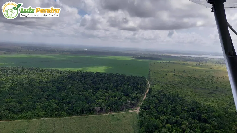 Terreno, 1016 hectares - Foto 7