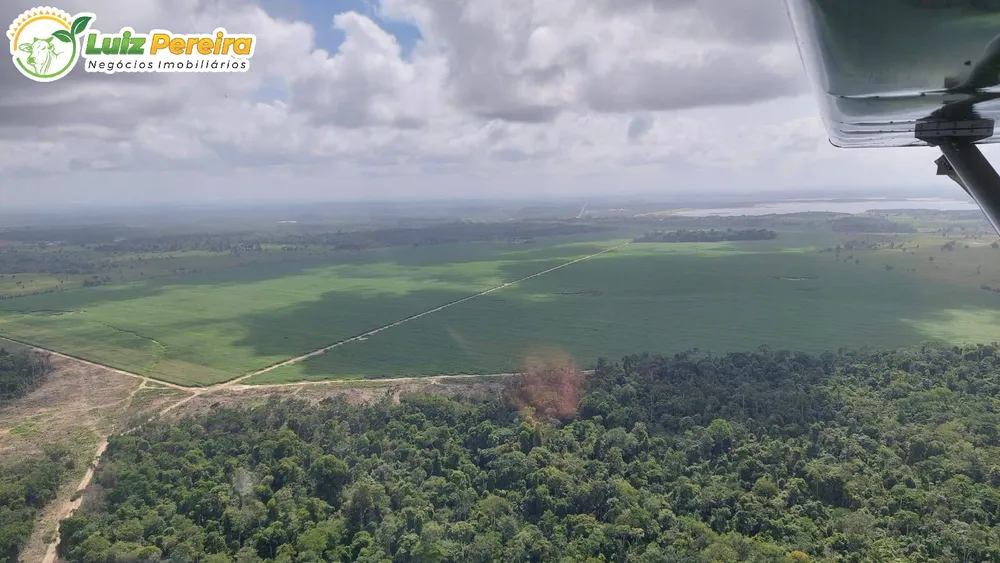 Terreno, 1016 hectares - Foto 13