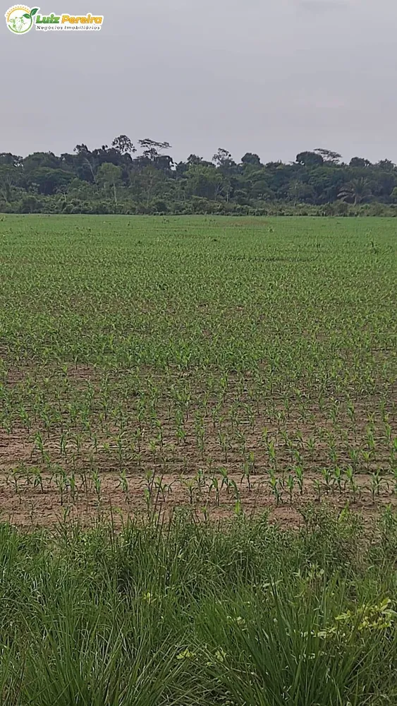 Terreno, 1016 hectares - Foto 8