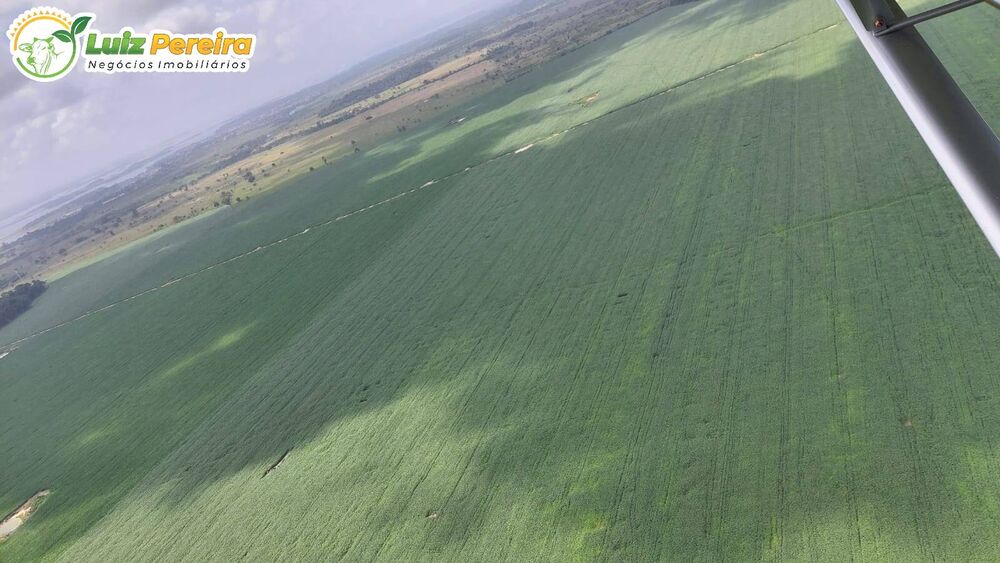 Terreno, 1016 hectares - Foto 1