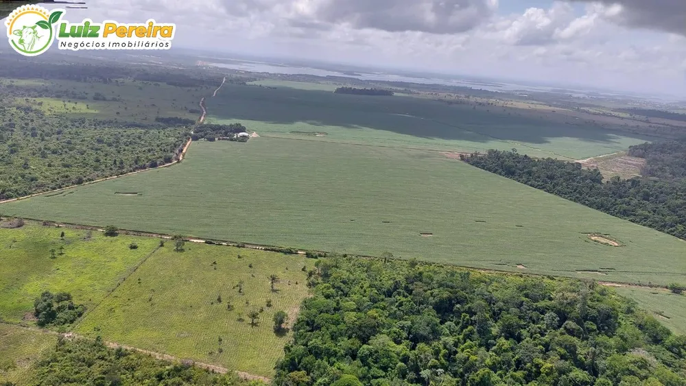 Terreno, 1016 hectares - Foto 3