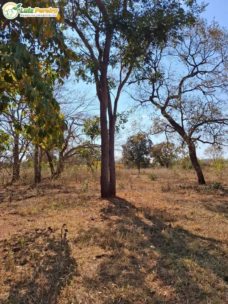 Terreno, 191 m² - Foto 3