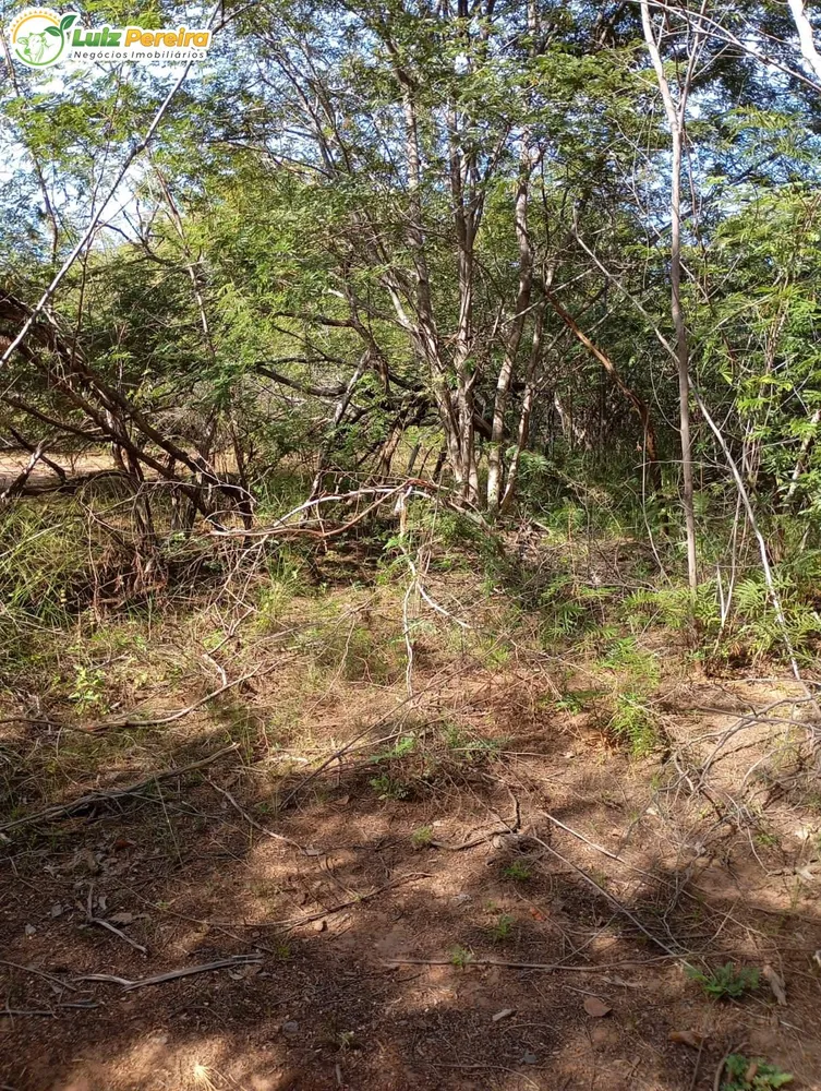 Terreno, 1400 m² - Foto 5