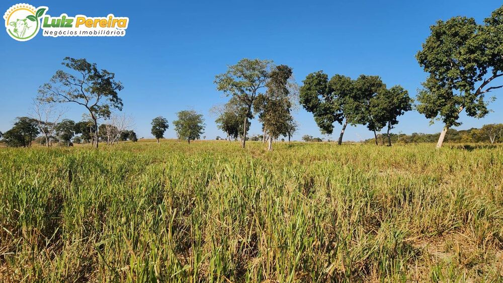 Terreno, 275 m² - Foto 7