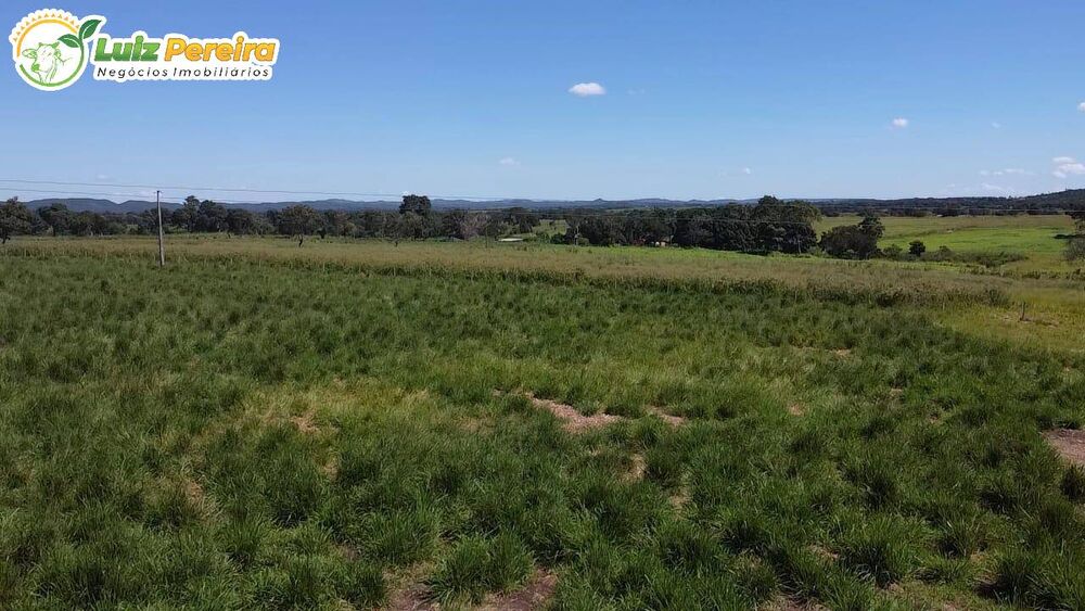 Terreno, 275 m² - Foto 6