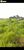 Terreno, 2950 hectares - Foto 1