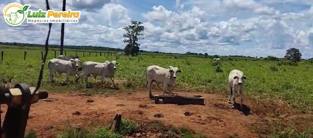 Terreno, 1694 m² - Foto 1