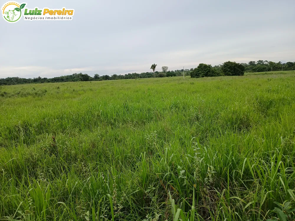 Terreno, 1161 m² - Foto 9