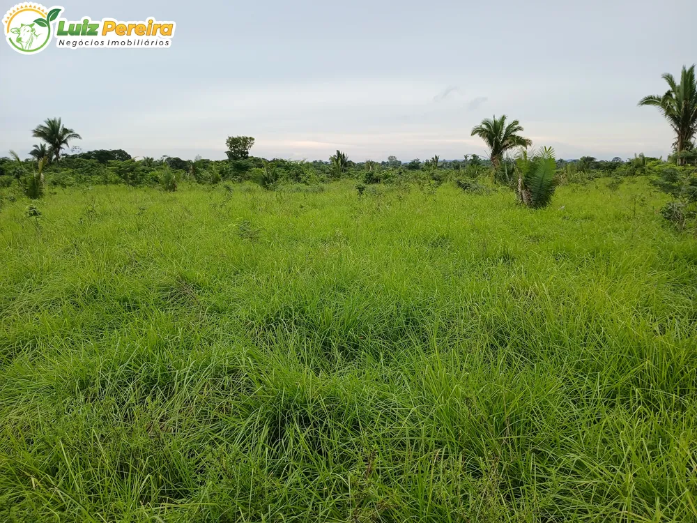 Terreno, 1161 m² - Foto 4