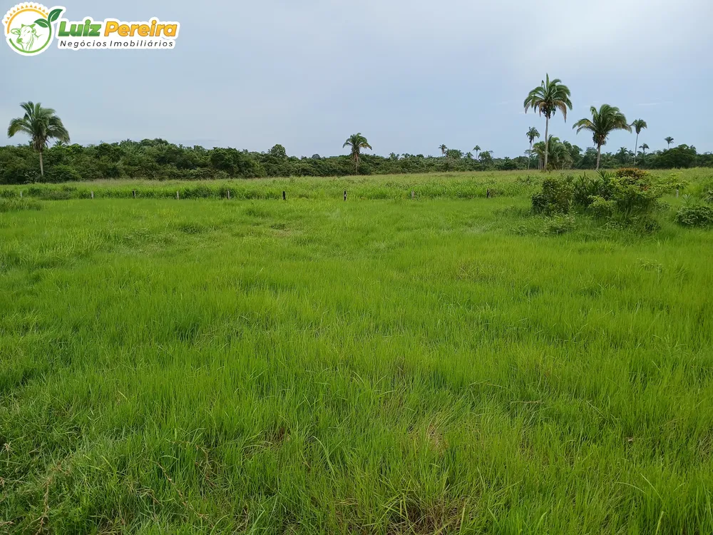 Terreno, 1161 m² - Foto 4