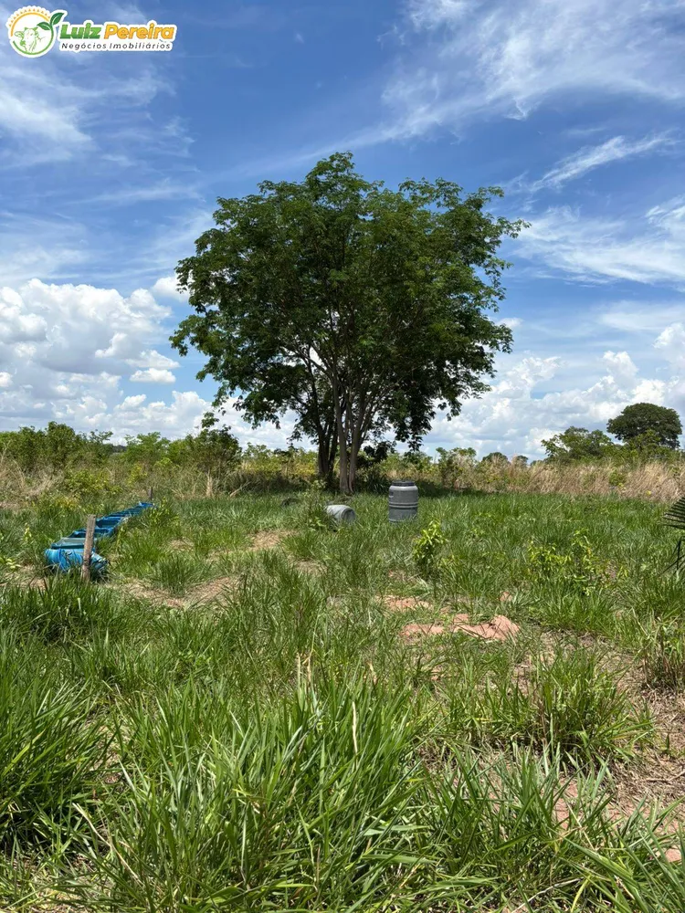 Terreno, 3800 m² - Foto 4