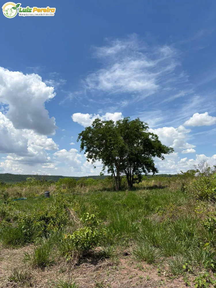 Terreno, 3800 m² - Foto 4