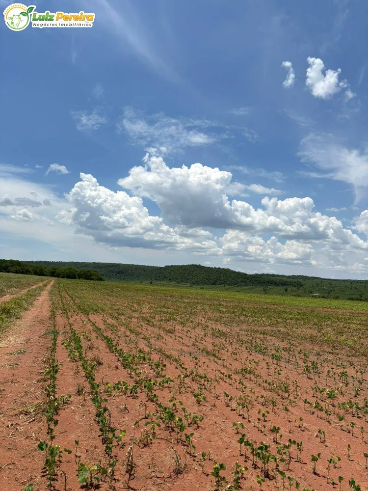 Terreno, 3800 m² - Foto 10