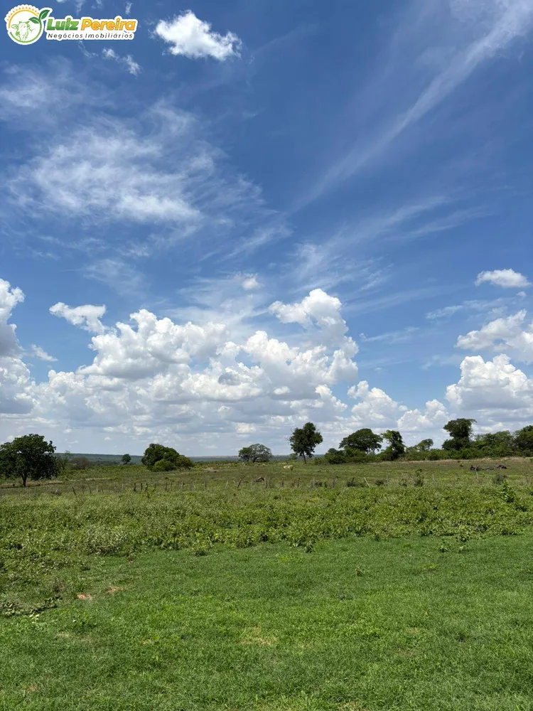 Terreno, 3800 m² - Foto 2