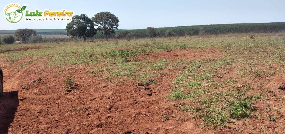 Terreno à venda, 3250000m² - Foto 5