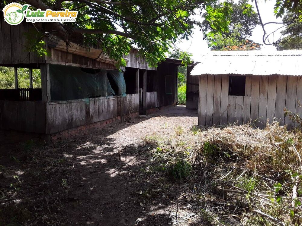 Terreno à venda, 10000000m² - Foto 4