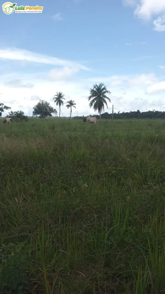 Terreno, 774 hectares - Foto 4