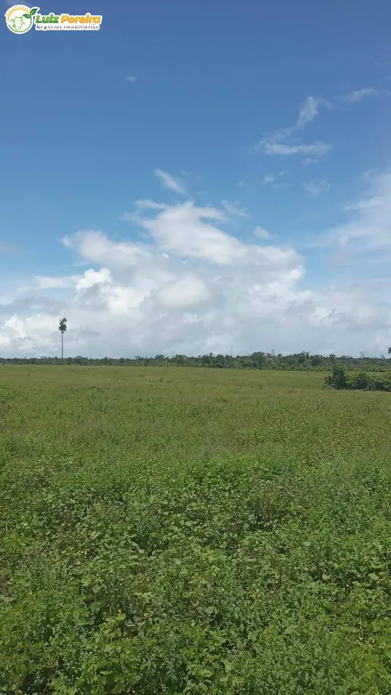 Terreno, 774 hectares - Foto 7