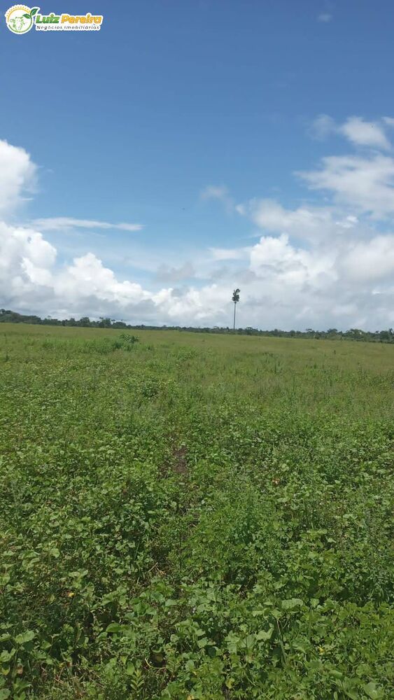 Terreno, 774 hectares - Foto 2