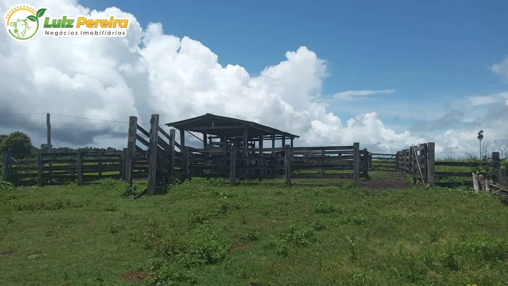 Terreno, 774 hectares - Foto 6