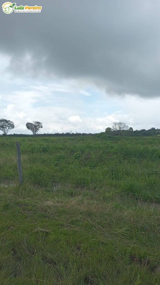 Terreno, 774 hectares - Foto 3