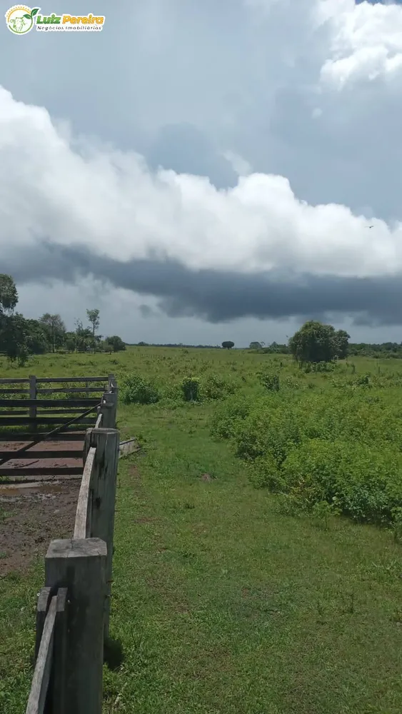 Terreno, 774 hectares - Foto 3