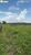 Terreno, 774 hectares - Foto 1